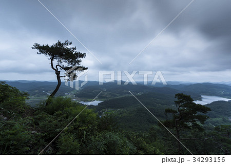 グクサボン 松 任實郡 34293156