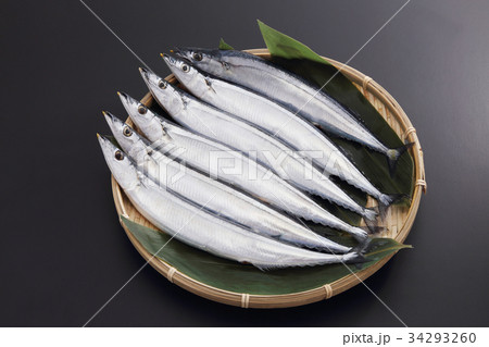 サンマ サンマ 34293260