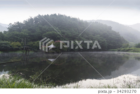 反射 反影 順天市 34293270