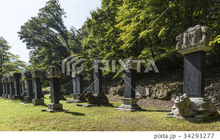 不渡り 全羅南道 ひときれ 34293277