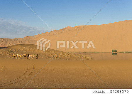 ラクダ バーだけリン砂漠 砂漠 34293579