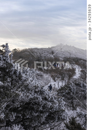 雪花 徳裕山 全北 34293639