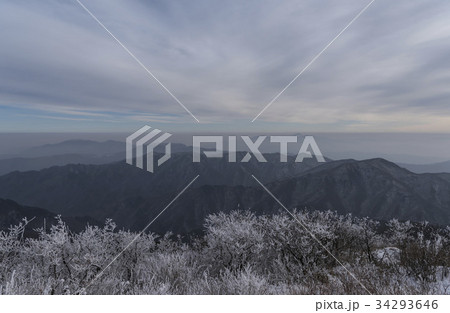 雪花 徳裕山 雲海 34293646