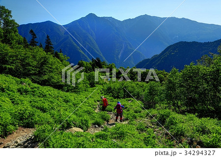 北岳・草すべりを行く登山者と鳳凰山 34294327