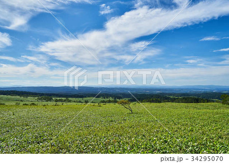 美幌峠からの景色 34295070