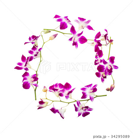 Round frame of orchid flower isolated on white Round frame of orchid flower isolated on white 34295089