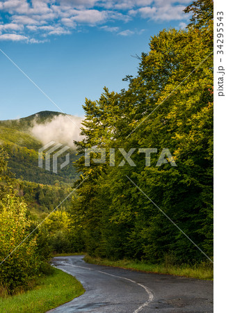 winding road through forest in mountains 34295543