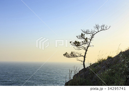 海 新安郡 全羅南道 34295741