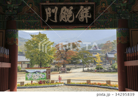 秋 大興寺 全羅南道 34295839