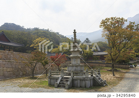 秋 大興寺 舎利 34295840