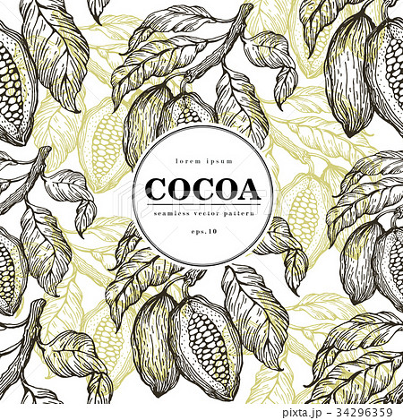 Cocoa Beans Vector Seamless Pattern Engravedのイラスト素材