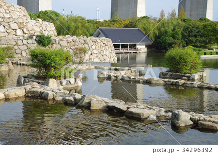 瀬戸大橋記念公園の浜栗林 瀬戸大橋記念公園の浜栗林 34296392