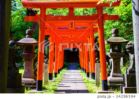 鳥居 34296594