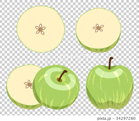苹果横切面简图及标注图片