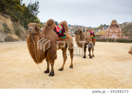 陸良彩色沙林(中国雲南省) 陸良彩色沙林(中国雲南省) 34298373