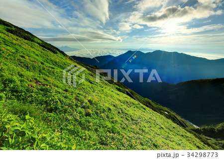 北岳稜線の花畑と鳳凰三山の展望の写真素材