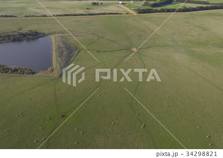 空から見る牧場と羊 34298821