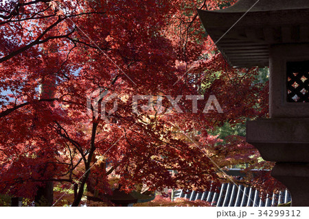 清水寺 清水寺 34299312