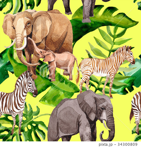 Exotic zebra and elephant wild animals pattern in 34300809
