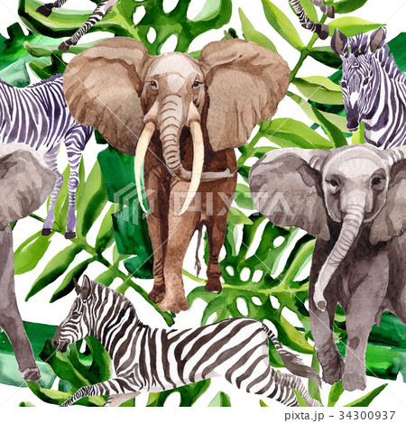 Exotic zebra and elephant wild animals pattern in 34300937