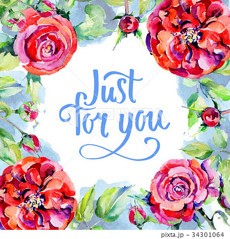 Wildflower rose flower frame in a watercolor style 34301064