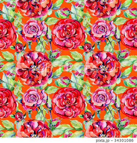 Wildflower rose flower pattern in a watercolor Wildflower rose flower pattern in a watercolor 34301086