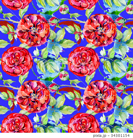 Wildflower rose flower pattern in a watercolor 34301154
