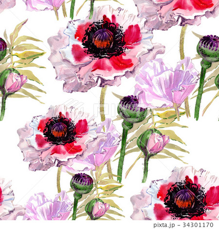 Wildflower poppy flower pattern in a watercolor Wildflower poppy flower pattern in a watercolor 34301170
