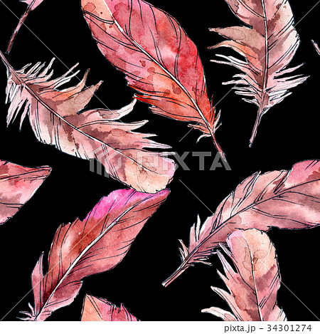 Watercolor bird feather pattern from wing. Watercolor bird feather pattern from wing. 34301274