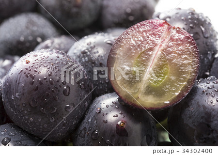 種無し巨峰 34302400