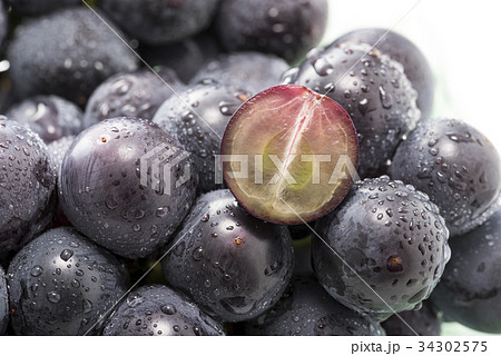 種無し巨峰 34302575