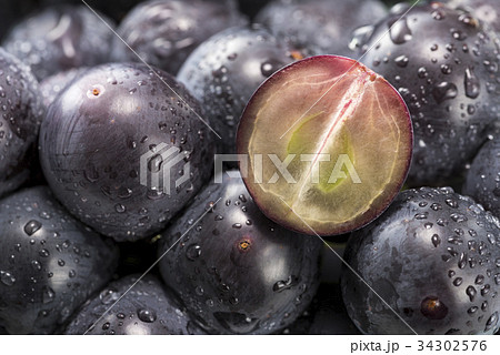 種無し巨峰 種無し巨峰 34302576