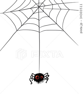 Funny spider with cobwebs 34303511