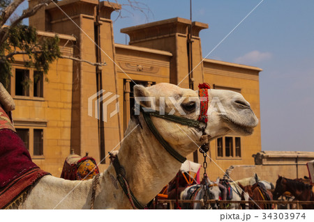 The Matthias Church, the Fishermen's Bastion 34303974