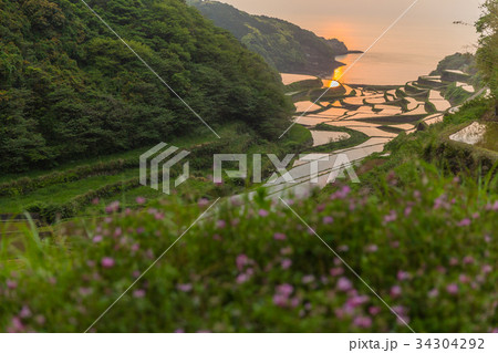 佐賀　浜野浦の棚田 34304292