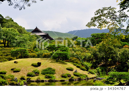 依水園からの東大寺南大門と若草山(国指定名勝):奈良 依水園からの東大寺南大門と若草山(国指定名勝):奈良 34304767