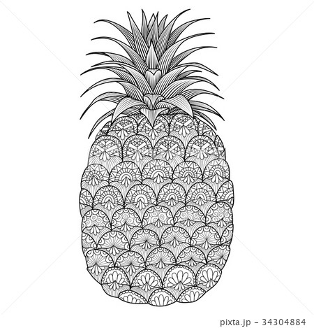 Pineapple zentangleのイラスト素材 [34304884] - PIXTA