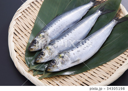 イワシ 34305198