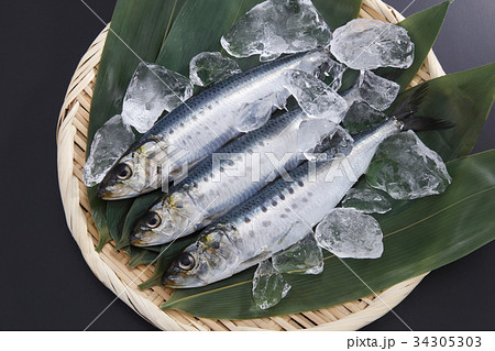 イワシ 34305303