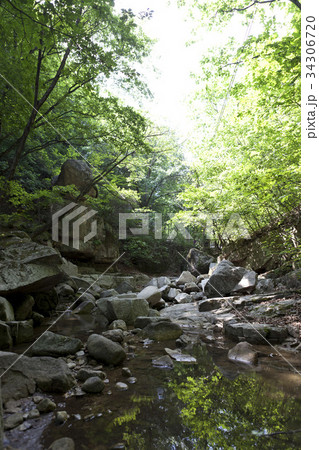 川 河 森 34306720