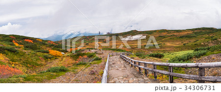 北海道 大雪山 旭岳 紅葉 34306731