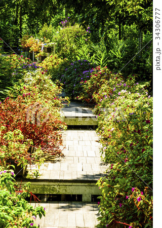 Plank road in the beautiful garden Plank road in the beautiful garden 34306777