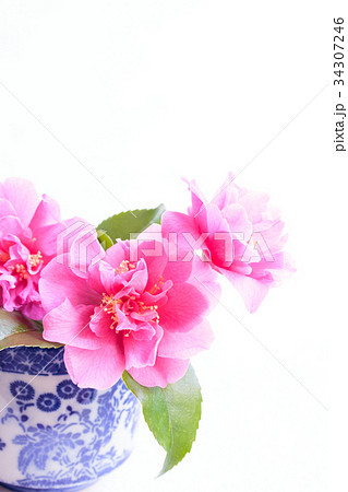 蕎麦猪口に活けた椿 蕎麦猪口に活けた椿 34307246