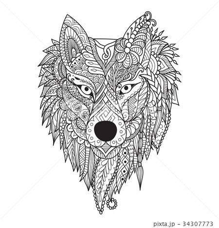 Wolf 34307773