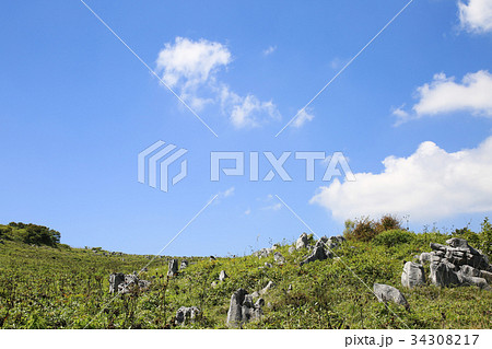 四国カルスト　天狗高原の風景 34308217