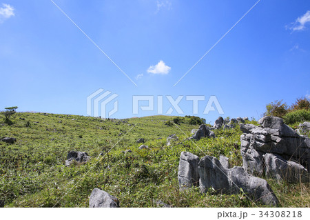 四国カルスト　天狗高原の風景 34308218