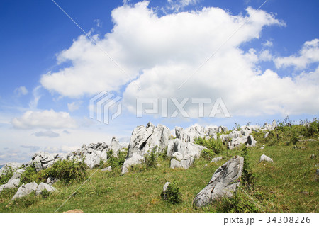 四国カルスト 天狗高原の風景 四国カルスト 天狗高原の風景 34308226