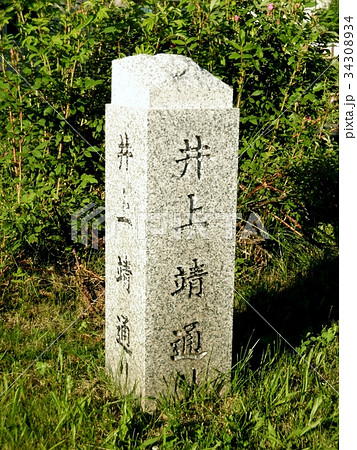 井上靖通り 34308934