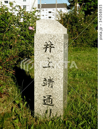 井上靖通り 34308935