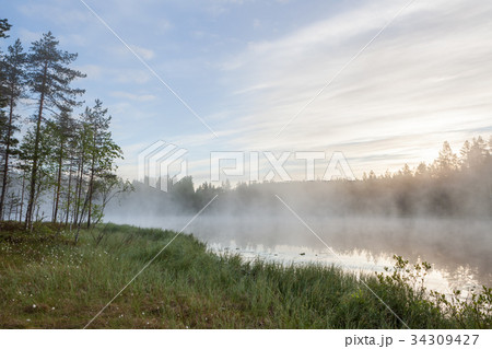Foggy morning at forest pond Foggy morning at forest pond 34309427